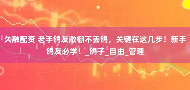 久融配资 老手鸽友敞棚不丢鸽，关键在这几步！新手鸽友必学！_鸽子_自由_管理
