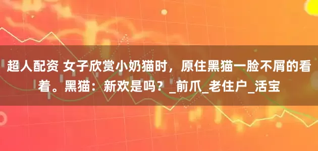 超人配资 女子欣赏小奶猫时，原住黑猫一脸不屑的看着。黑猫：新欢是吗？_前爪_老住户_活宝