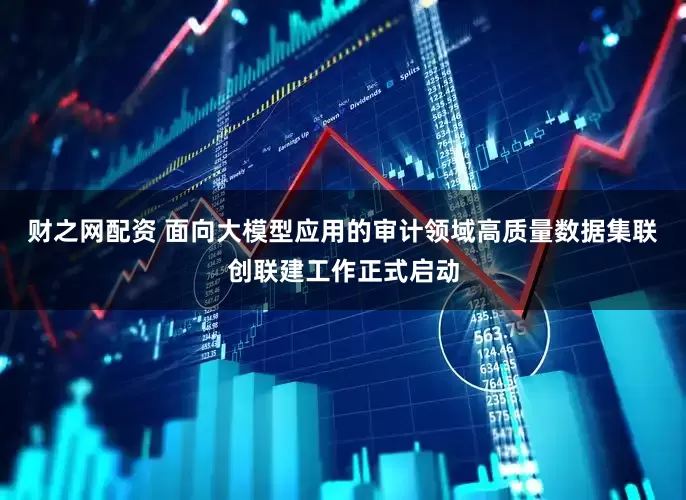 财之网配资 面向大模型应用的审计领域高质量数据集联创联建工作正式启动